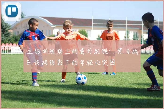 主场训练场上的意外发现：黑马战队伤病阴影下的年轻化突围
