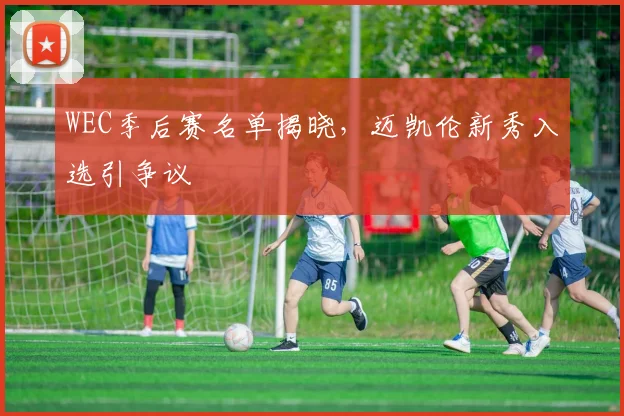 WEC季后赛名单揭晓，迈凯伦新秀入选引争议